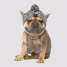 Load image into Gallery viewer, Canada Pooch Polar Pom Pom Hat