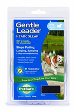 Load image into Gallery viewer, Petsafe GentleLeader Headcollar for Dogs