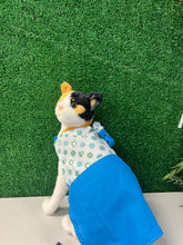Load image into Gallery viewer, Shasha's Divas Designs - Pet clothing