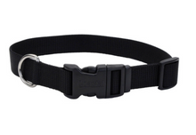 Load image into Gallery viewer, Coastal Adjustable Nylon Dog Collar with Plastic Buckle 3/8th in - XS