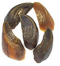 Load image into Gallery viewer, JONES NATURAL BEEF HOOVES
