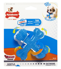 Load image into Gallery viewer, NYLABONE PUPPY CHEW X BONE CHEW TOY - BEEF - SMALL