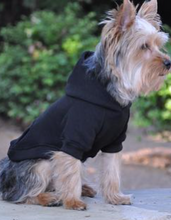 Load image into Gallery viewer, Flex-Fit Dog Hoodie - Black
