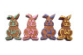 Load image into Gallery viewer, Dog Cookies