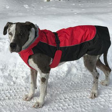 Load image into Gallery viewer, Alpine All-Weather Dog Coat - Red and Black