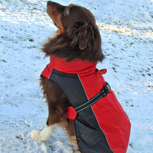 Load image into Gallery viewer, Alpine All-Weather Dog Coat - Red and Black