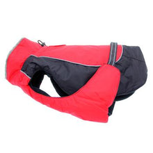 Load image into Gallery viewer, Alpine All-Weather Dog Coat - Red and Black