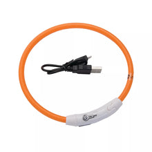 Load image into Gallery viewer, Coastal Light Up Pet Neck Ring for Night Walking