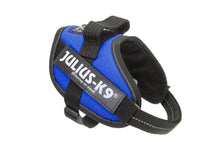 Load image into Gallery viewer, Julius K9 IDC Power Harness