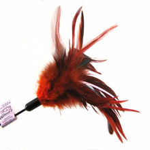 Load image into Gallery viewer, CATS CLAWS CAT TEASER WAND

