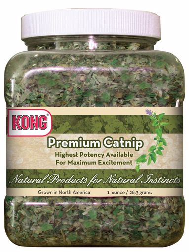 KONG Premium Catnip