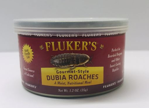 FLUKER FARMS 1.2 OZ. GOURMET-STYLE CANNED DUBIA ROACHES