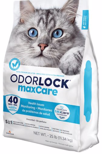 OdorLock MAxCare Cat Litter