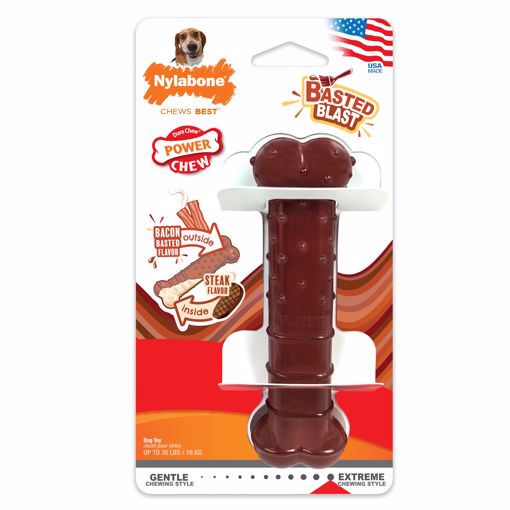 Nylabone Power Chew Basted Blast Dual Bacon Flavored Dog Toy