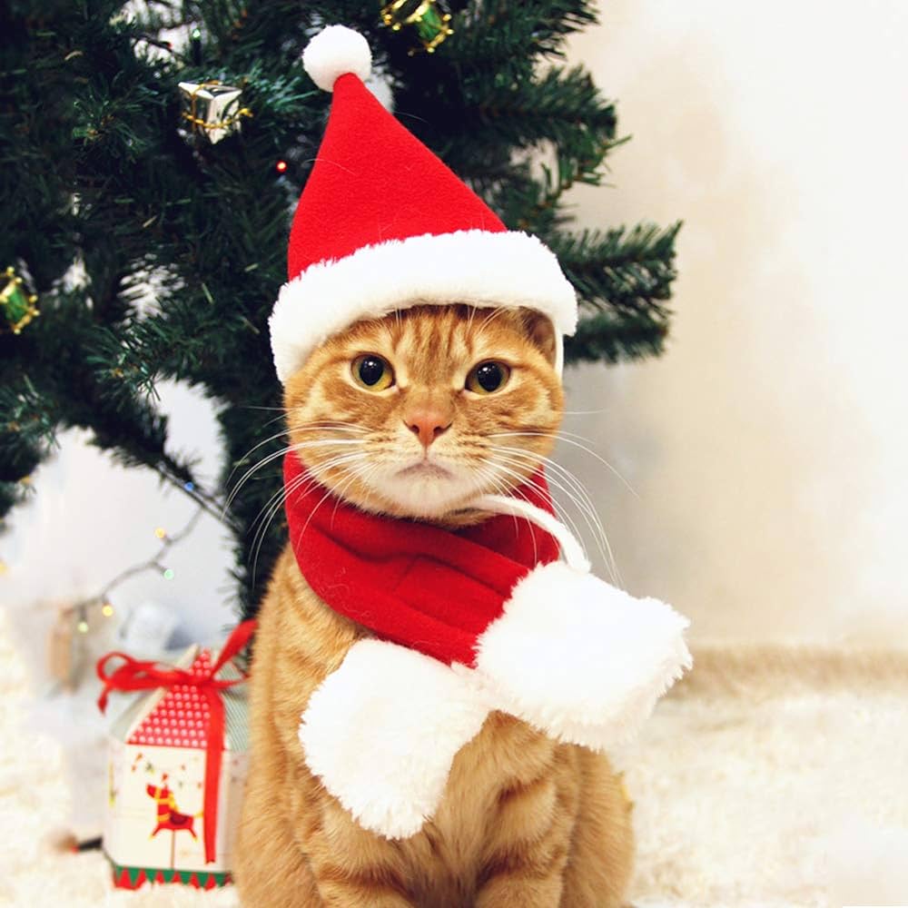 Christmas Cat Basket
