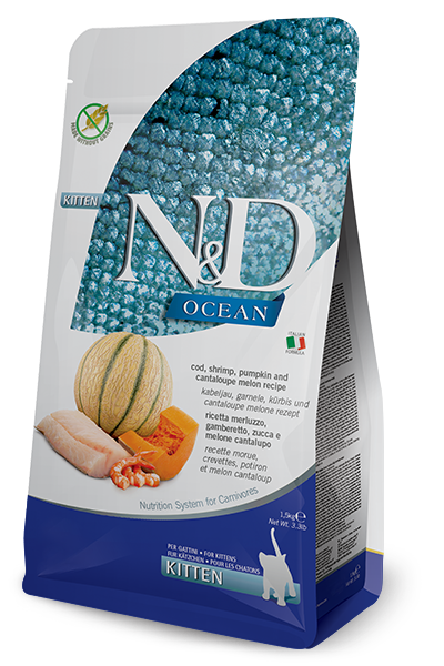 Farmina N&D Cod Shrimp Pumpkin Cantaloupe Kitten Dry Cat Food