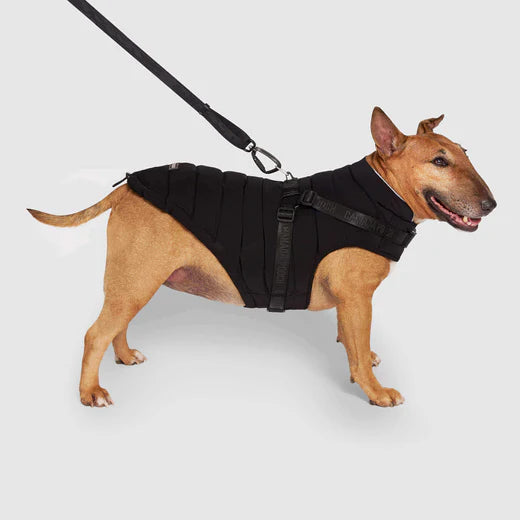Canada Pooch Puffer Harness Size 22