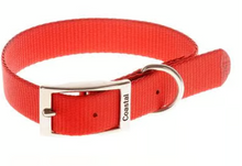 Load image into Gallery viewer, Coastal Single-Ply Nylon Collar - SMALL - 5/8 x 14In
