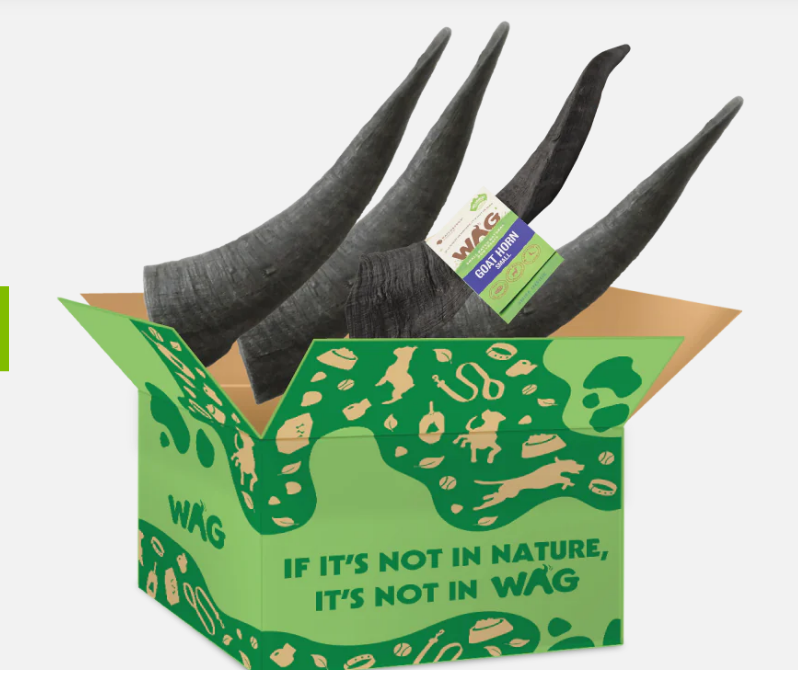 Wag Goat Horn - Small