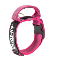 Load image into Gallery viewer, Julius-K9 Color &amp; Gray® Collar With Handle, Safety Lock And Interchangeable Patch
