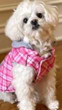 Load image into Gallery viewer, Weekender Dog Sweatshirt Hoodie - Pink &amp; White Plaid
