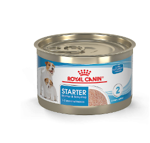 Royal Canin Starter Mother & Puppy Wet Dog Food  5.1oz