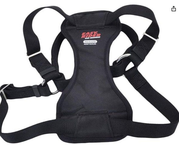 Coastal - Easy Rider - Adjustable Dog Car Harness, Black, MED (20