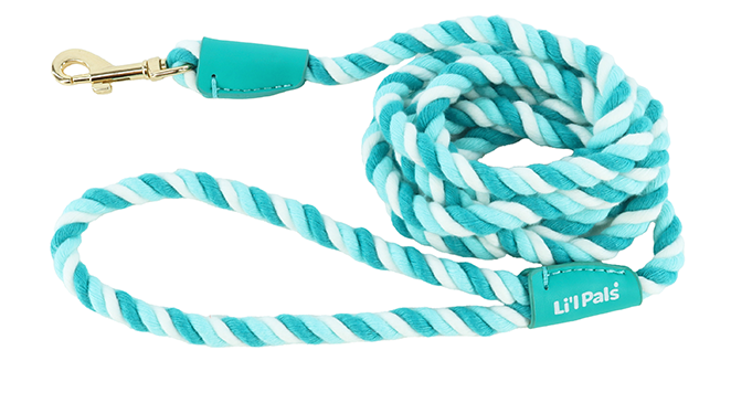 Li'l Pals Dog Leash CndyStrpd Rope Teal Petite 3/8