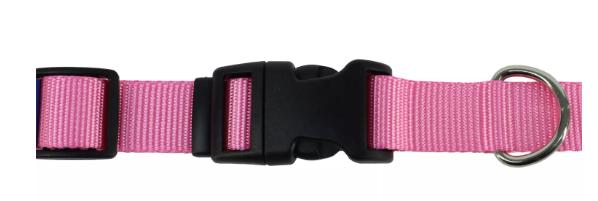 Coastal Adjustable Dog Collar with Plastic Buckle