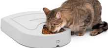 Load image into Gallery viewer, PetSafe Automatic Dog Feeder, 5 Meals, 40 oz Capacity, Plastic, for Dry Food, Multiple Pets
