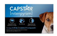 Load image into Gallery viewer, CAPSTAR FLEA TABLET - DOG 6 CT. 26-125 LB.
