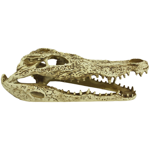Komodo Alligator Skull Tank Ornament