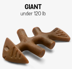 Benebone Fishbone Giant
