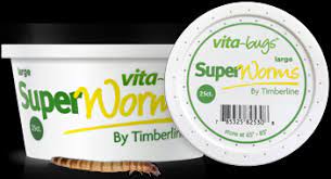 Timberline Superworm 25ct
