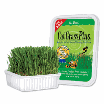 Gimborn Cat Grass Plus 150gm