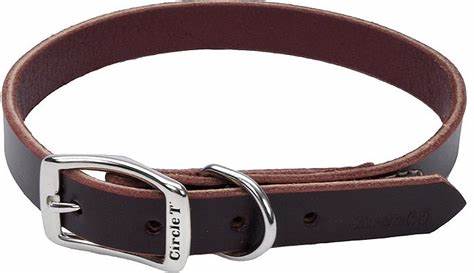 Circle T Leather Collar