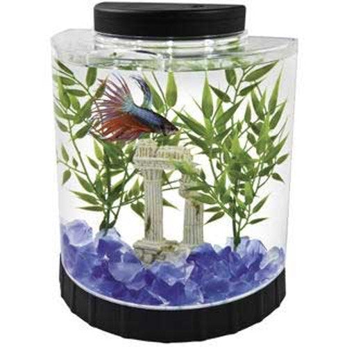 Tetra LED Half Moon Betta Kit 1.1 Gal Tank
