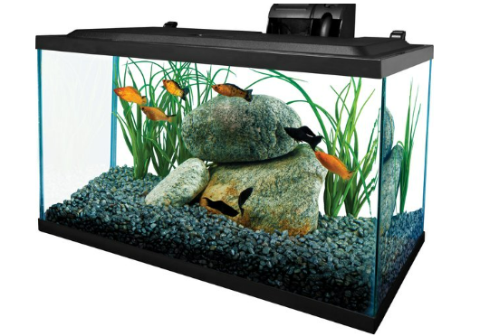 Tetra Glass Aquarium, 10-gal