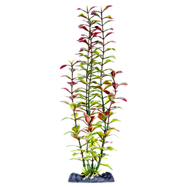 Penn Plax Sinkers Blooming Ludwigia Aquarium Plant Red