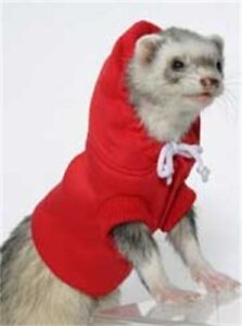 Marshall Pet Ferret Hoodie