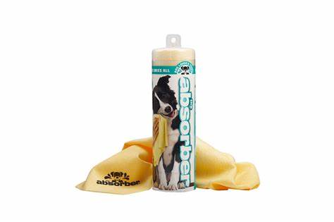 The Absorber One Size Dries All