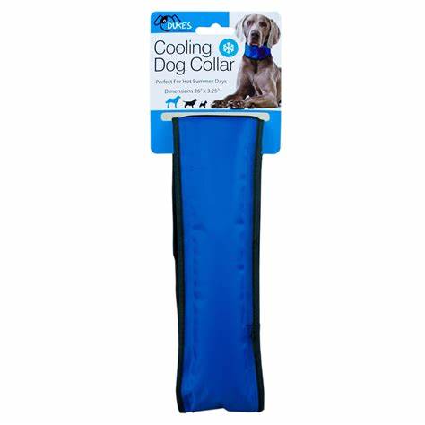 Cooling dog collar